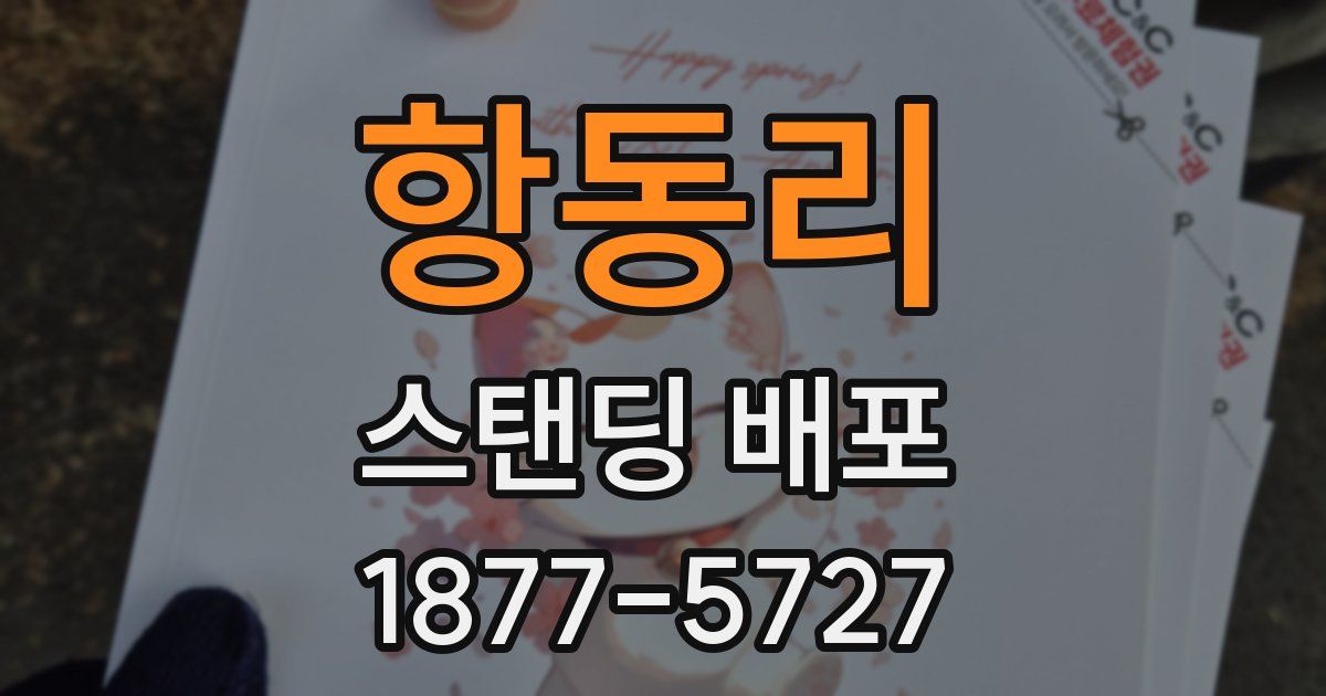 항동리 스탠딩 배포