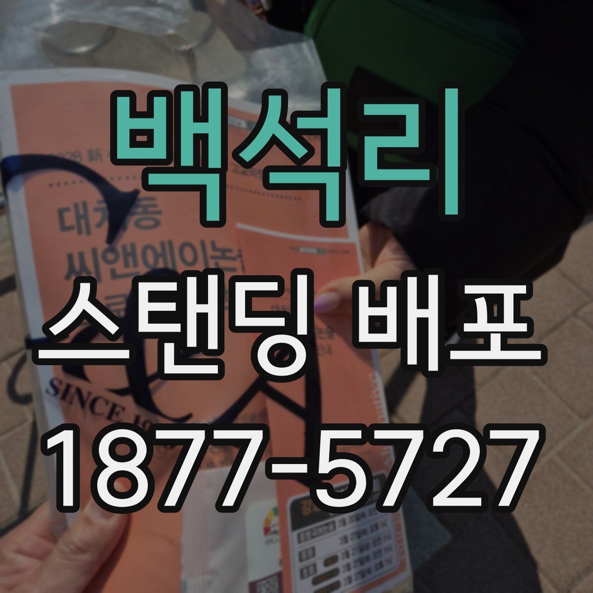 백석리 스탠딩 배포