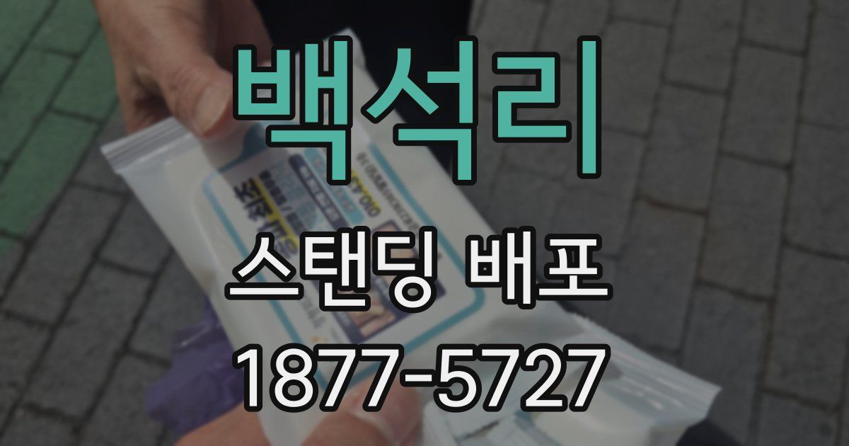 백석리 스탠딩 배포