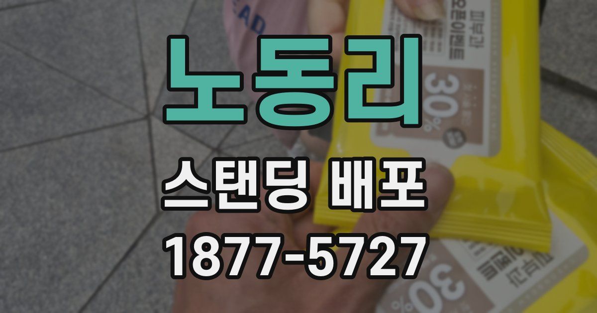 노동리 스탠딩 배포