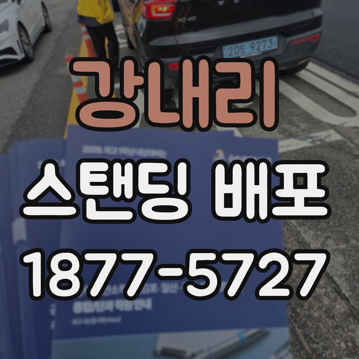 강내리 스탠딩 배포