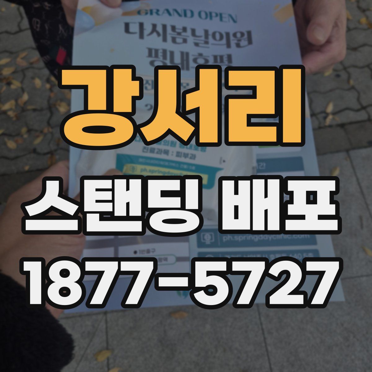 강서리 스탠딩 배포