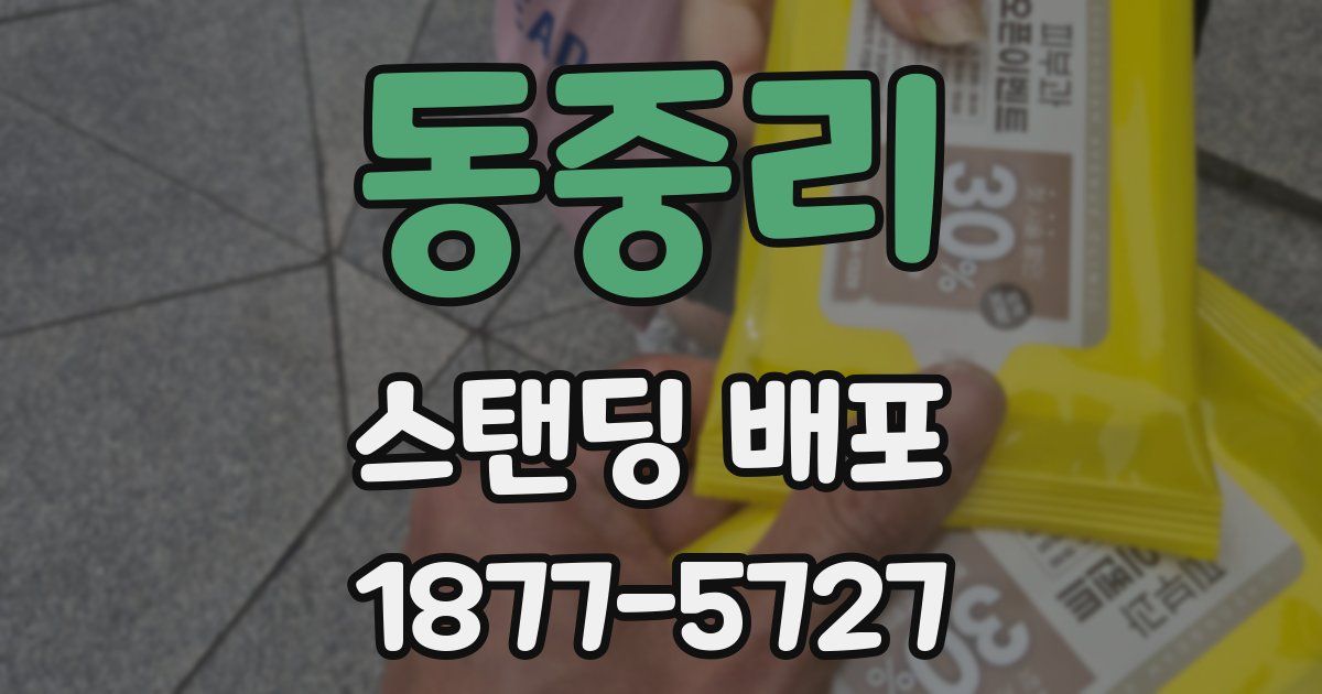 동중리 스탠딩 배포
