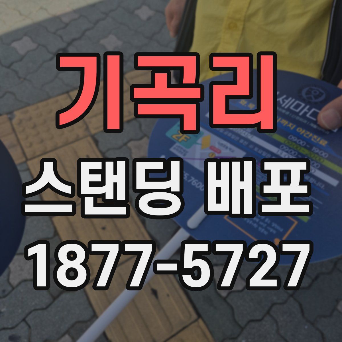 기곡리 스탠딩 배포