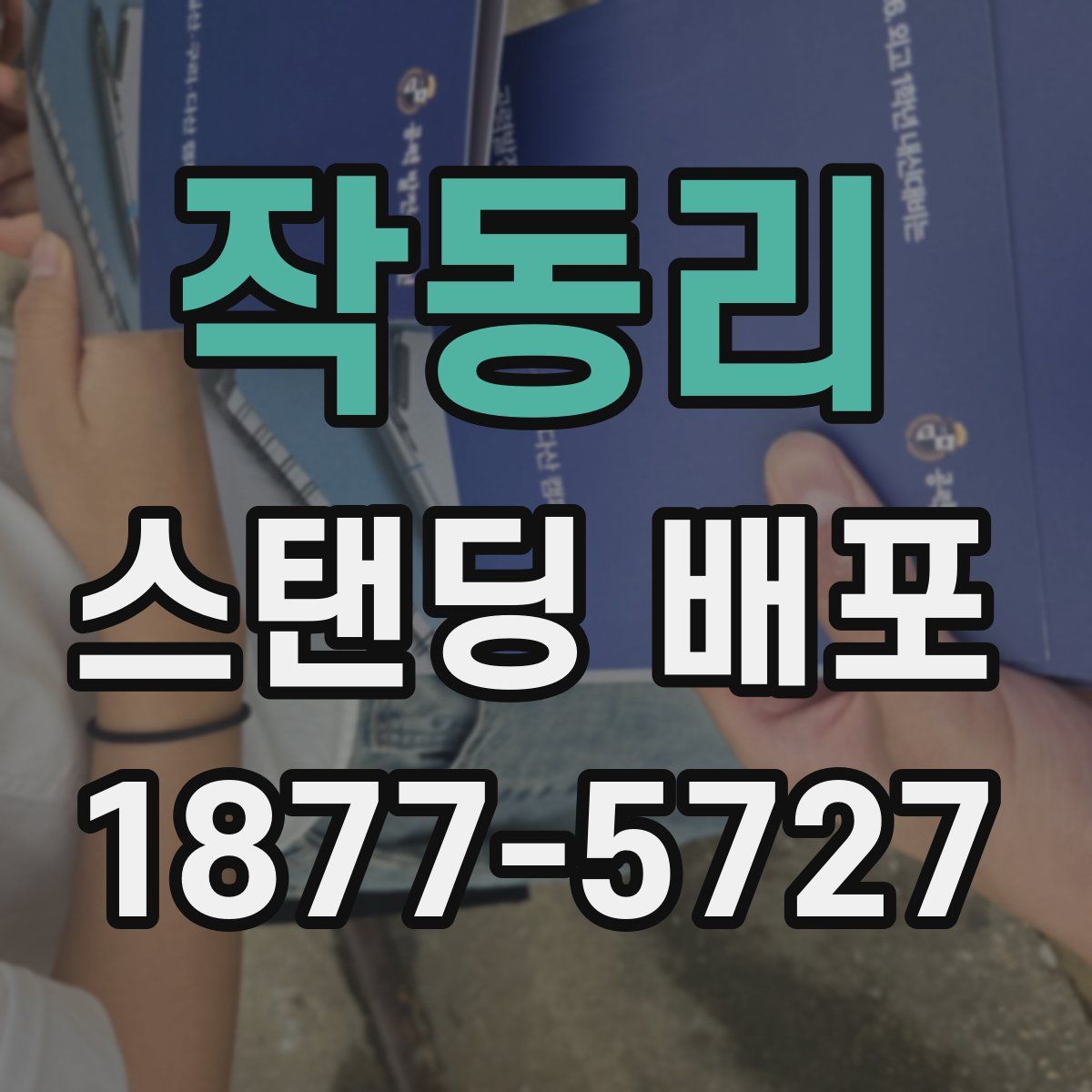 작동리 스탠딩 배포