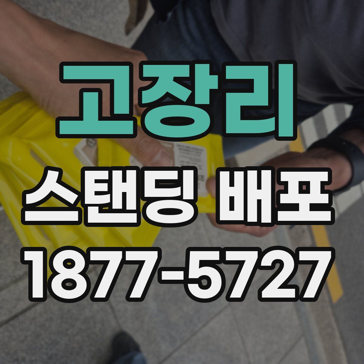 고장리 스탠딩 배포