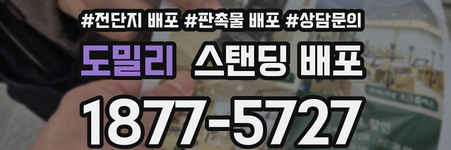 도밀리 스탠딩 배포