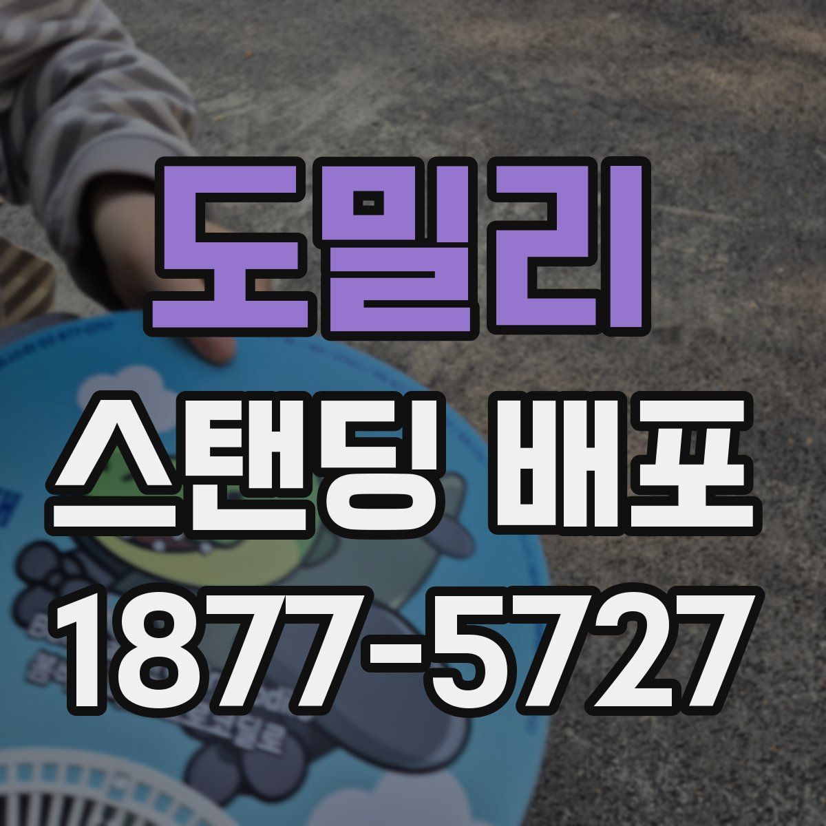 도밀리 스탠딩 배포