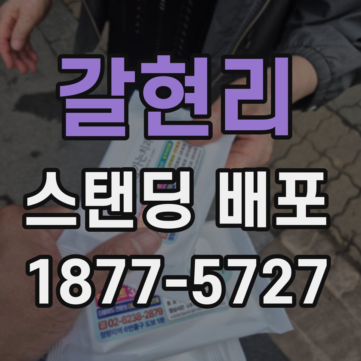 갈현리 스탠딩 배포