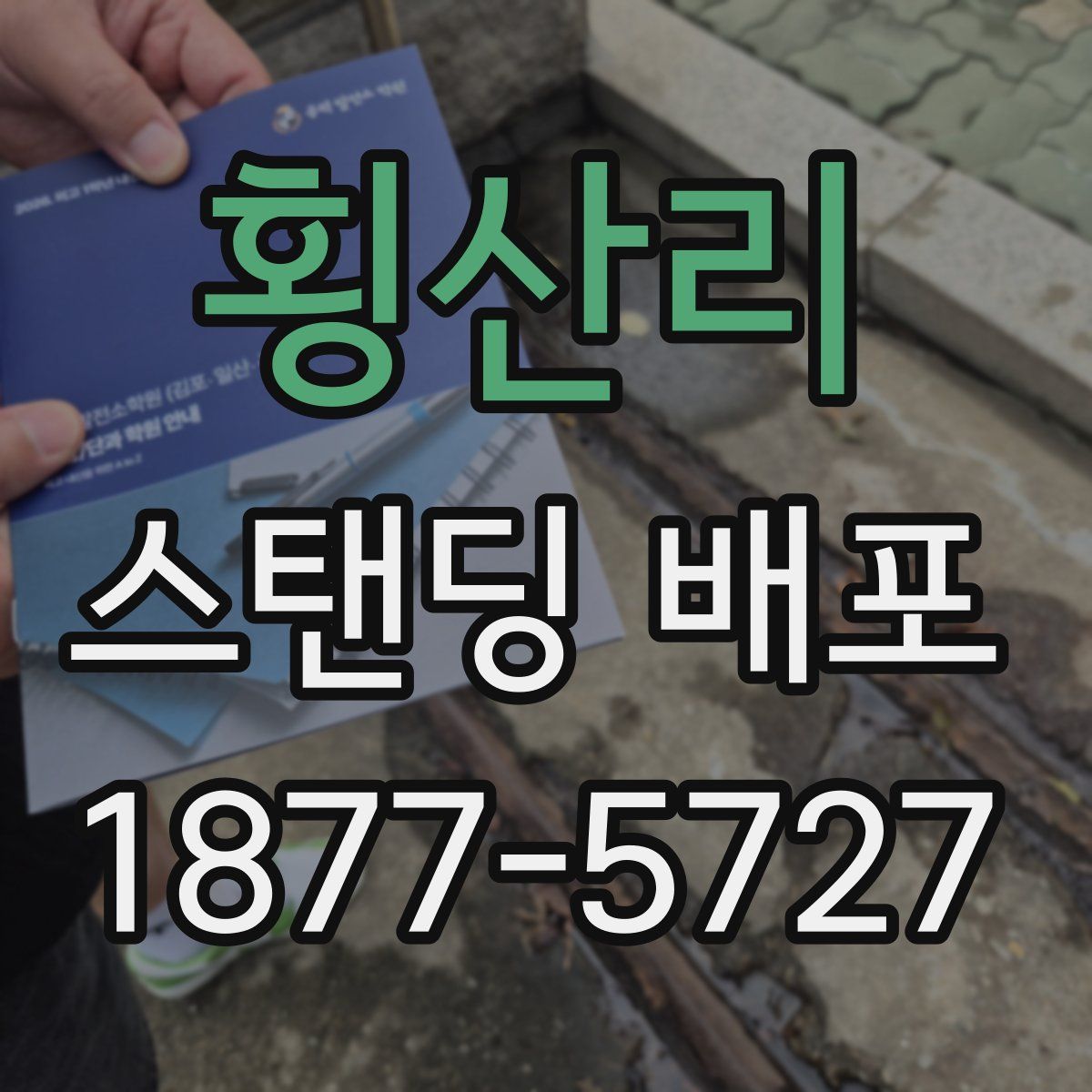 횡산리 스탠딩 배포