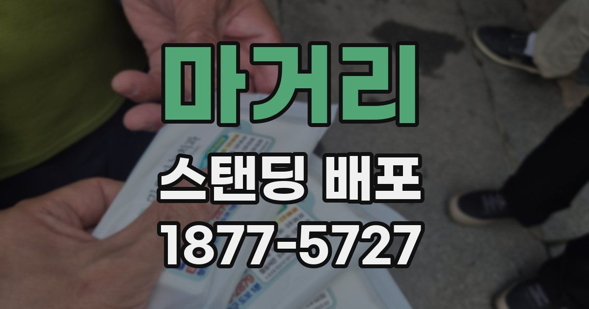 마거리 스탠딩 배포