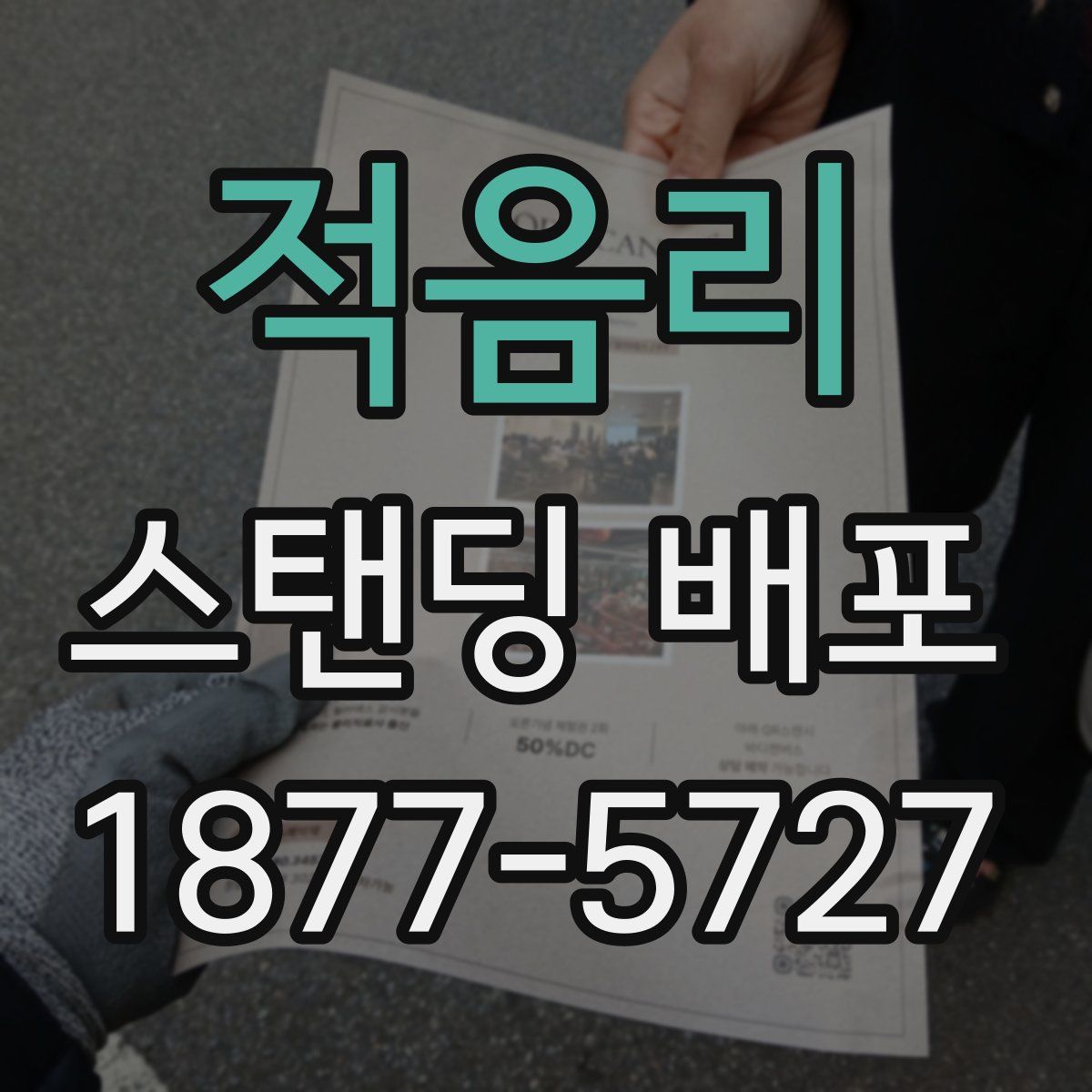 적음리 스탠딩 배포