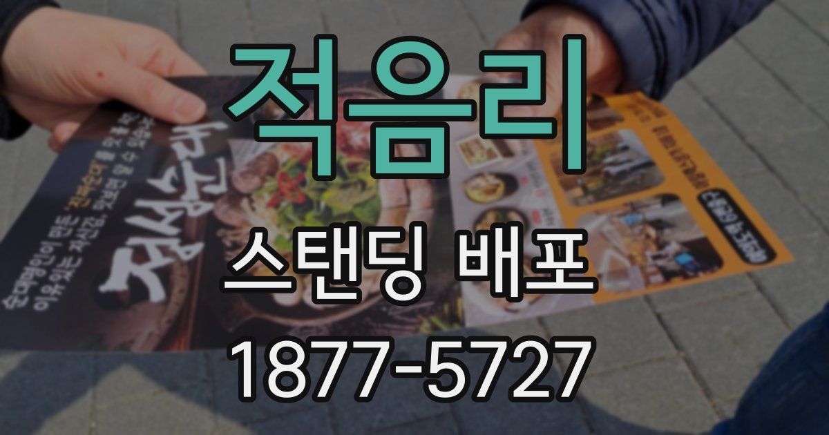 적음리 스탠딩 배포
