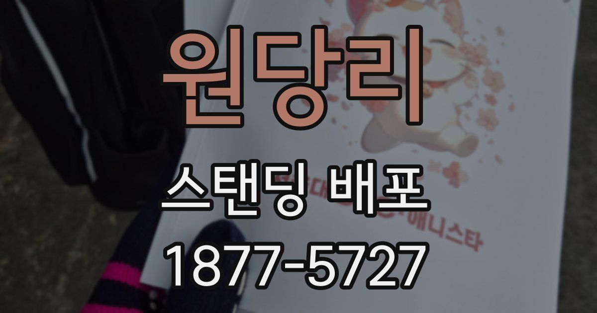 원당리 스탠딩 배포