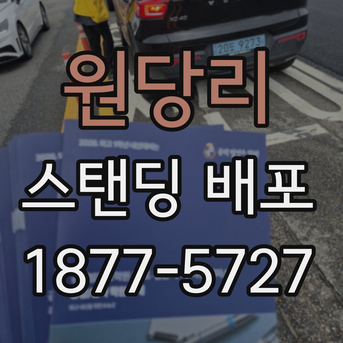 원당리 스탠딩 배포