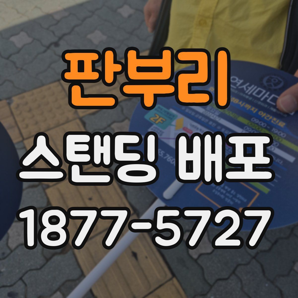 판부리 스탠딩 배포