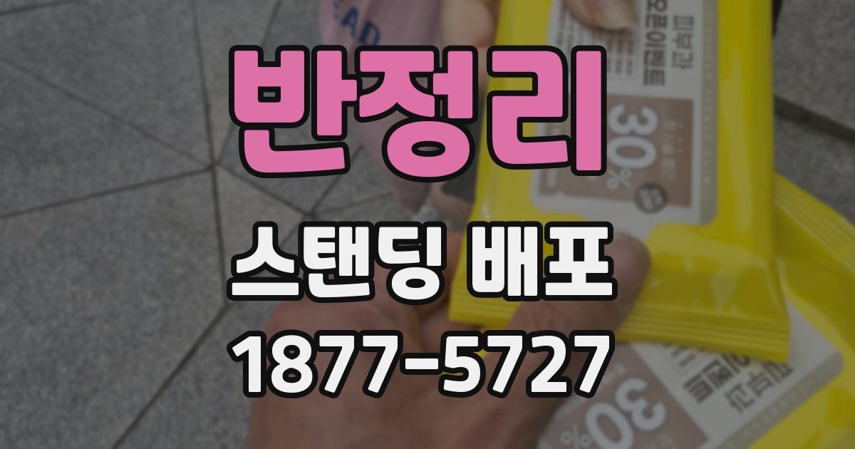 반정리 스탠딩 배포