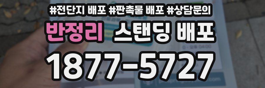 반정리 스탠딩 배포