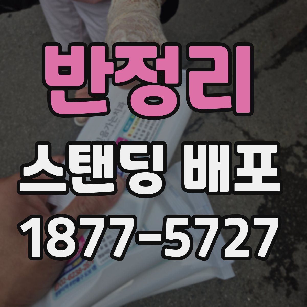 반정리 스탠딩 배포