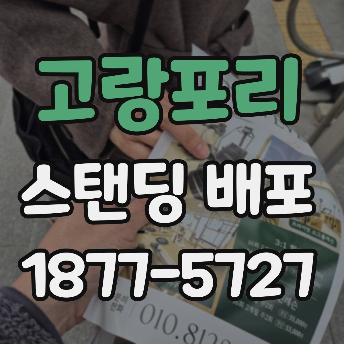 고랑포리 스탠딩 배포