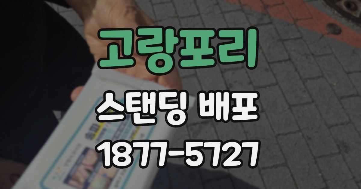 고랑포리 스탠딩 배포