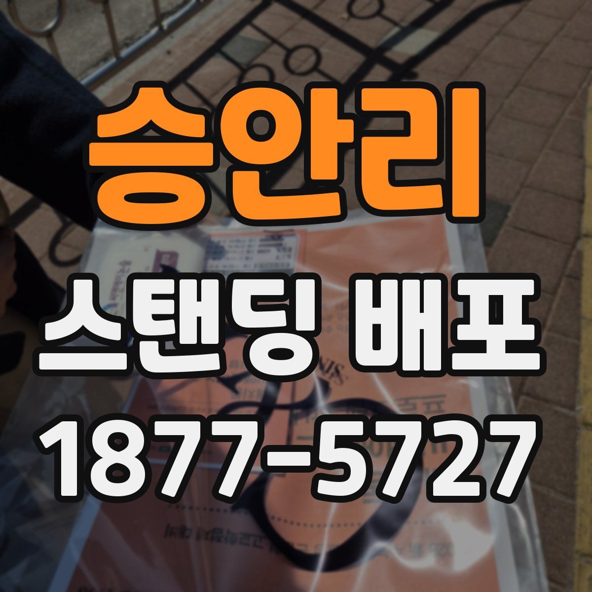 승안리 스탠딩 배포