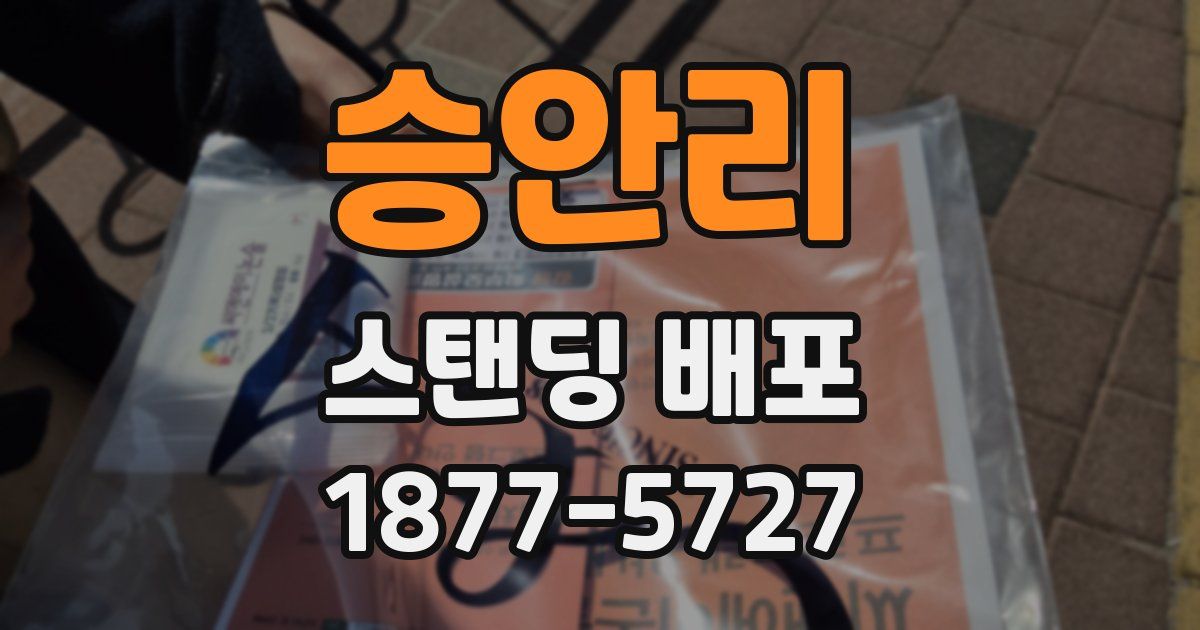 승안리 스탠딩 배포