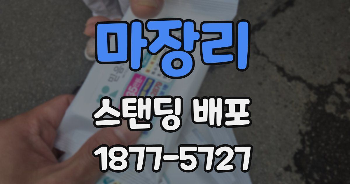 마장리 스탠딩 배포