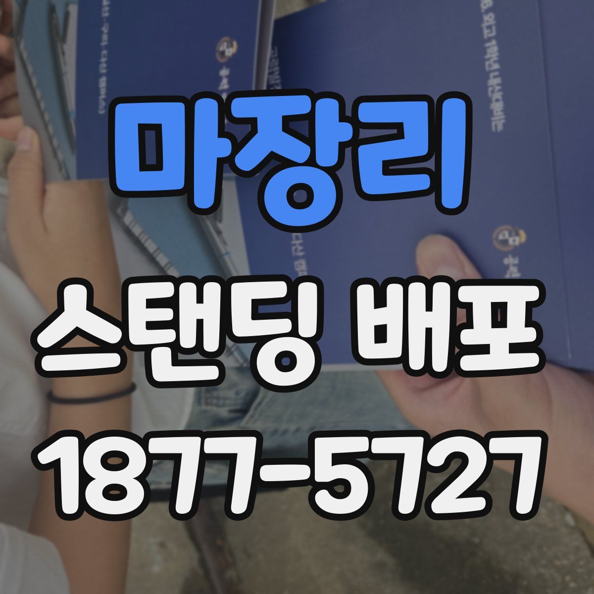 마장리 스탠딩 배포