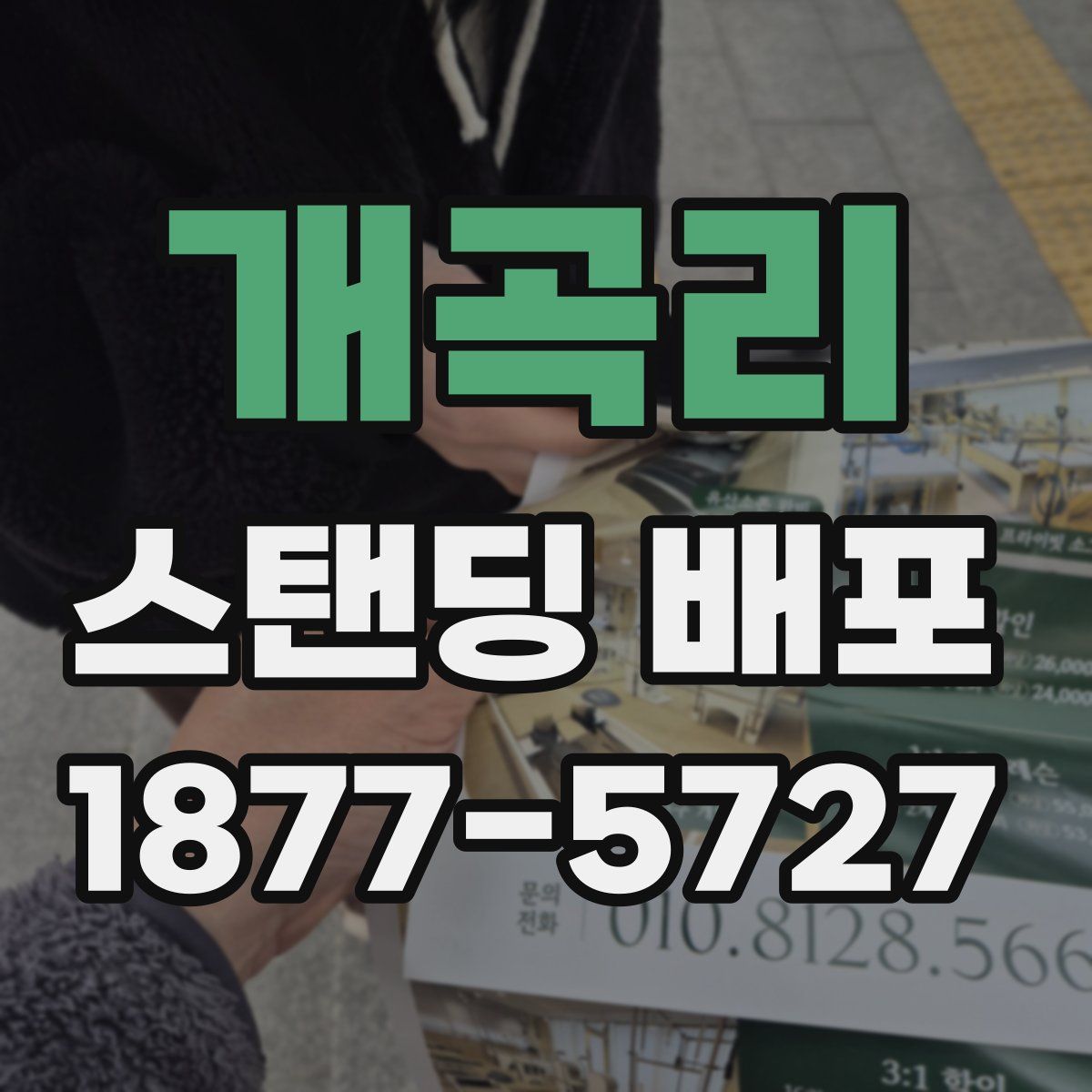 개곡리 스탠딩 배포