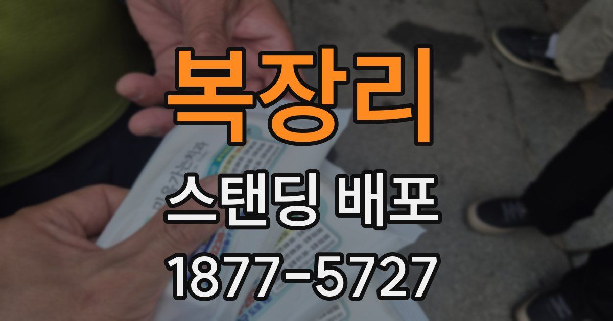 복장리 스탠딩 배포