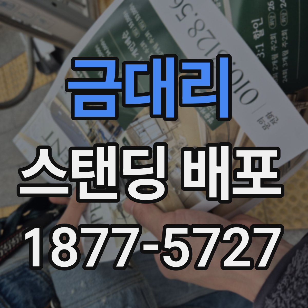 금대리 스탠딩 배포