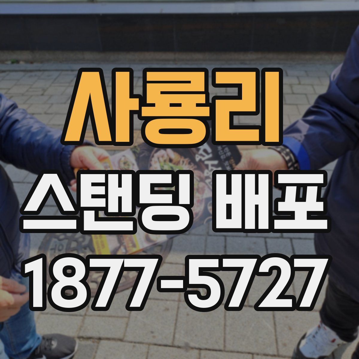 사룡리 스탠딩 배포