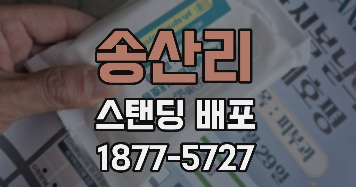 송산리 스탠딩 배포