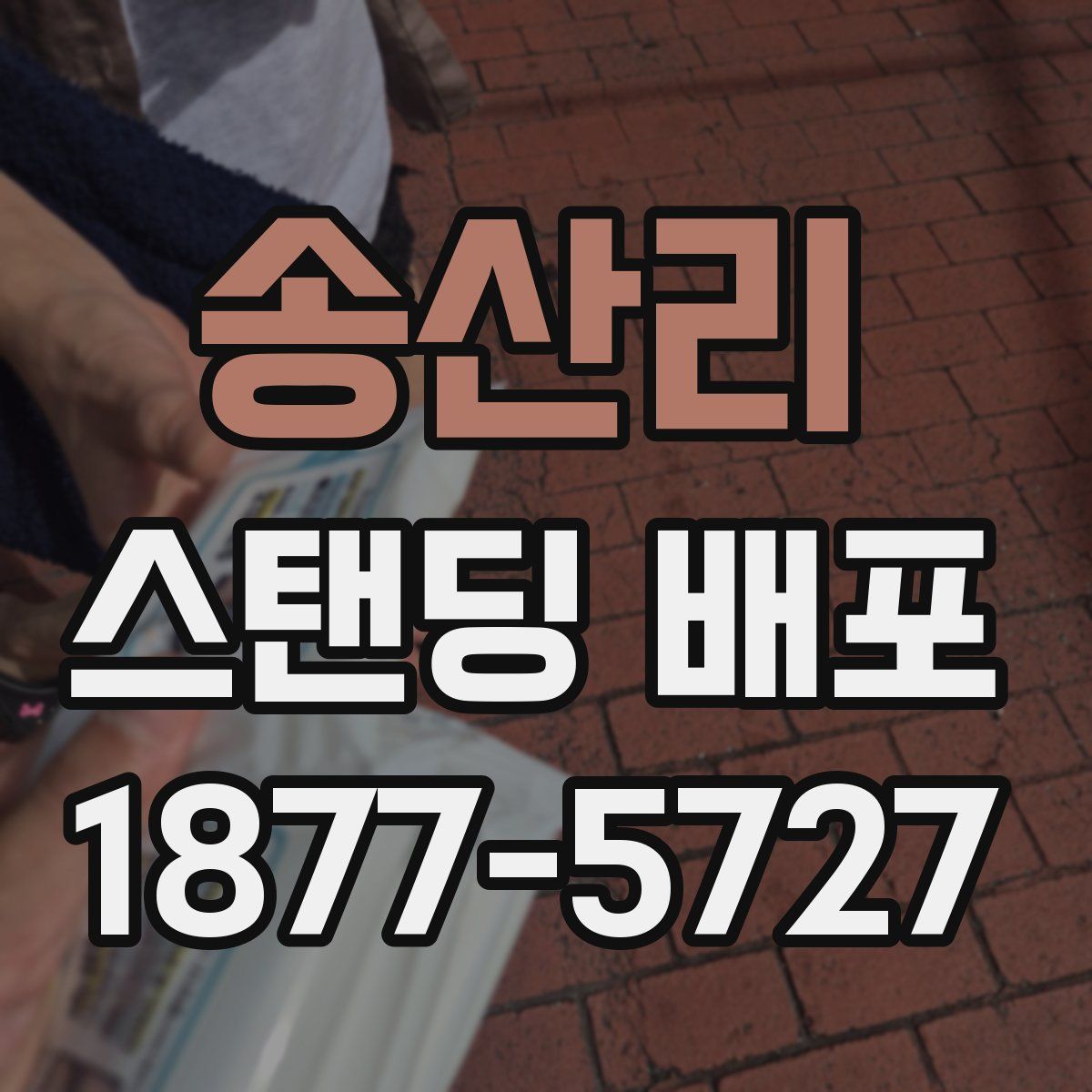 송산리 스탠딩 배포