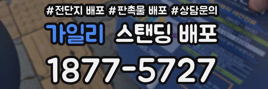 가일리 스탠딩 배포
