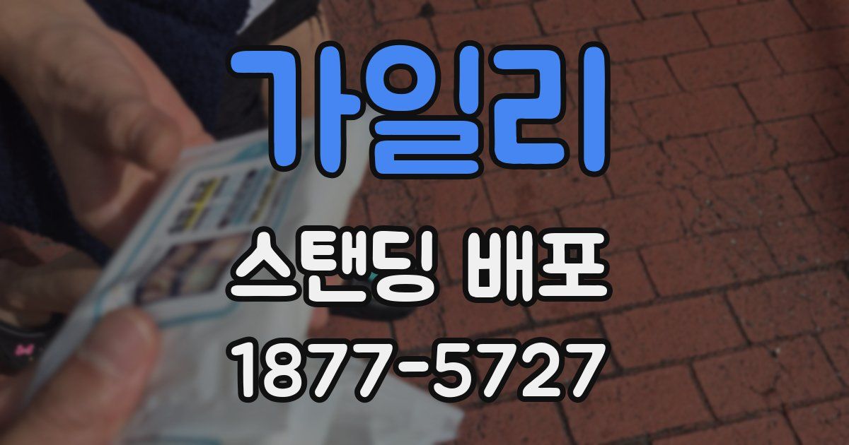 가일리 스탠딩 배포