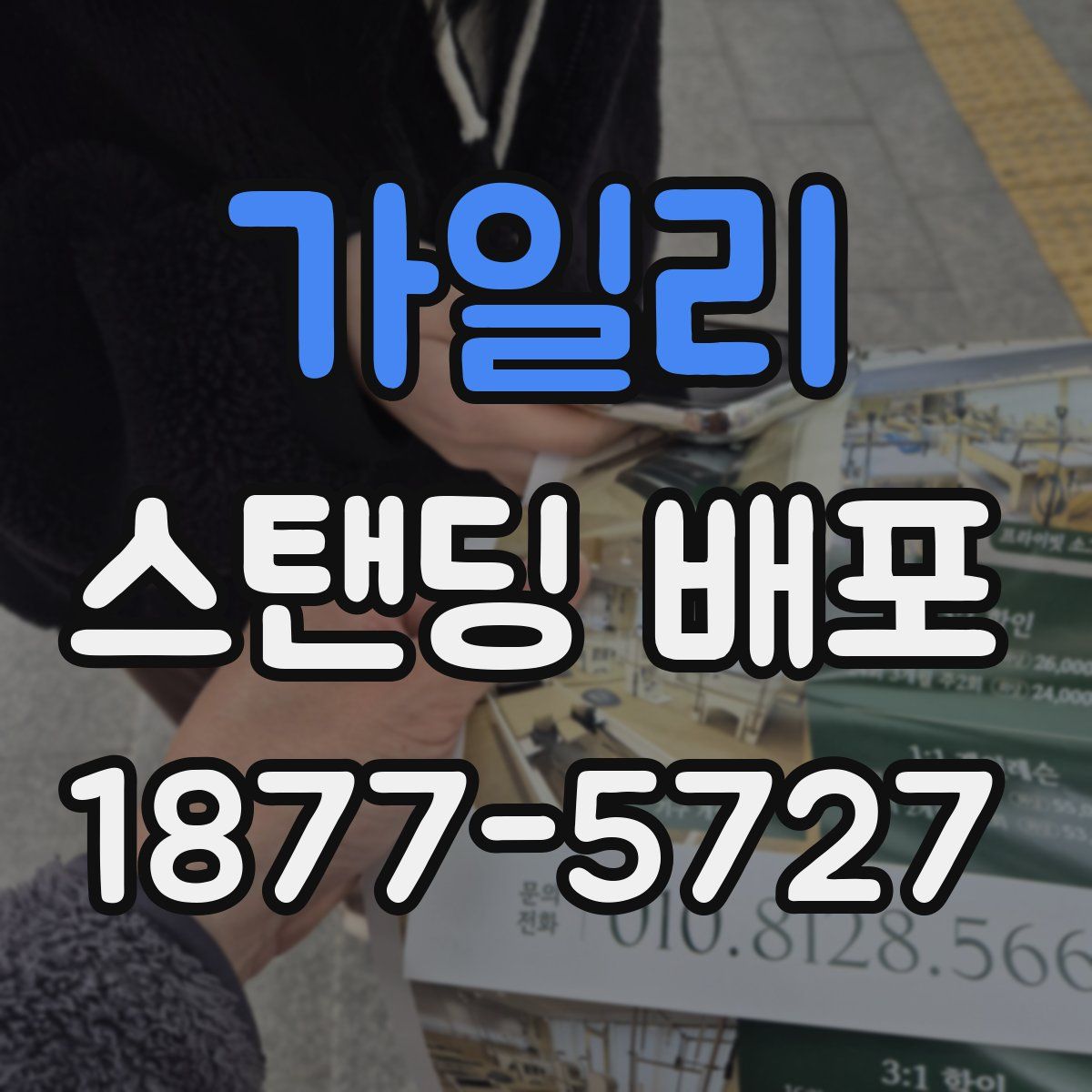 가일리 스탠딩 배포