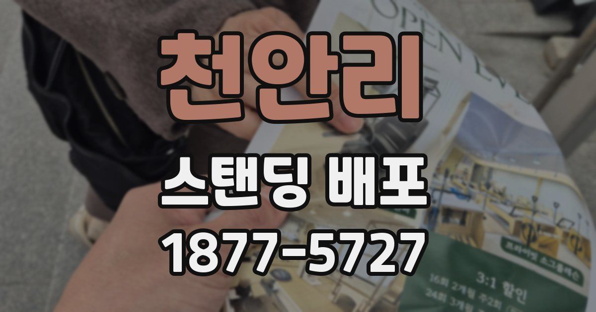 천안리 스탠딩 배포
