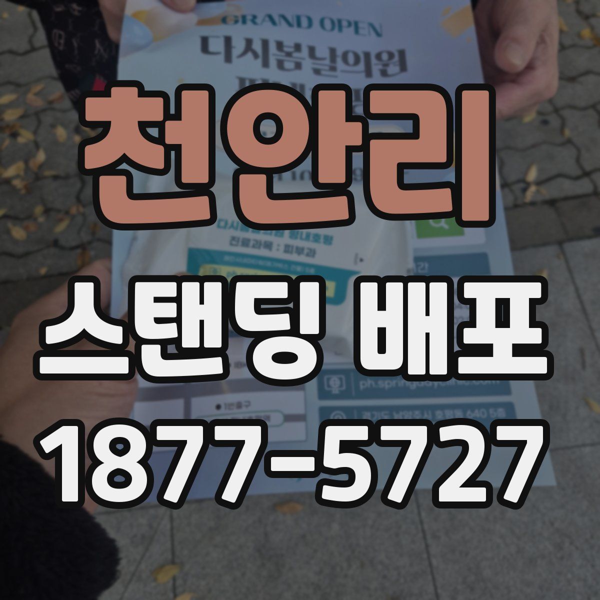 천안리 스탠딩 배포