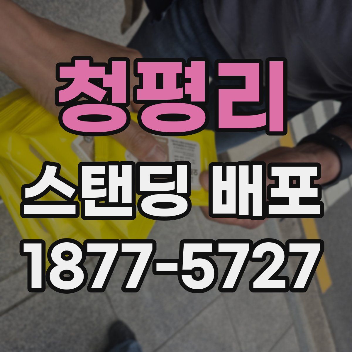 청평리 스탠딩 배포