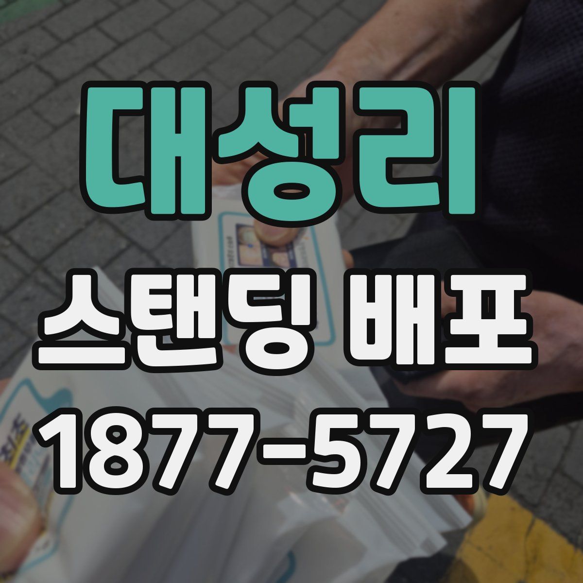 대성리 스탠딩 배포