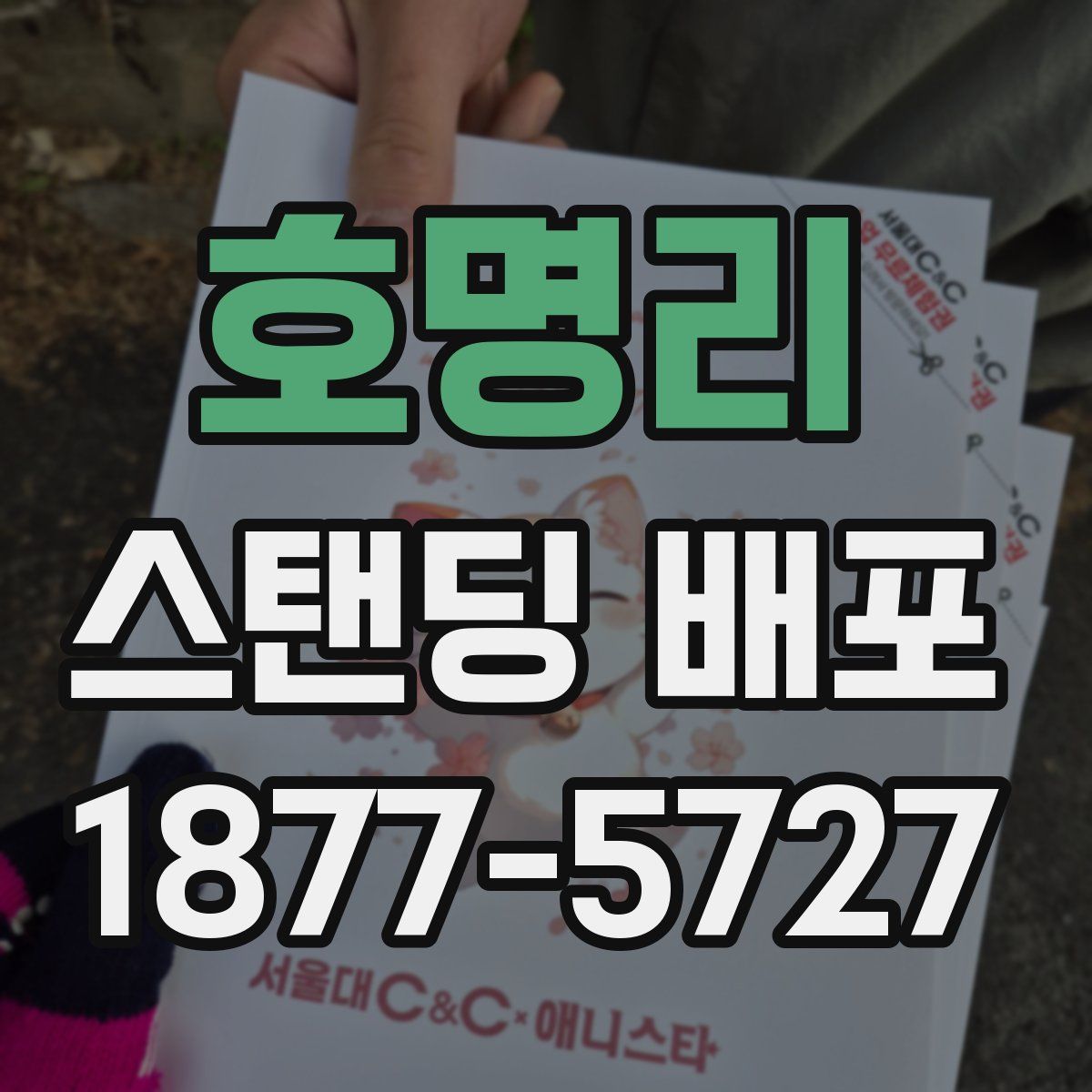 호명리 스탠딩 배포