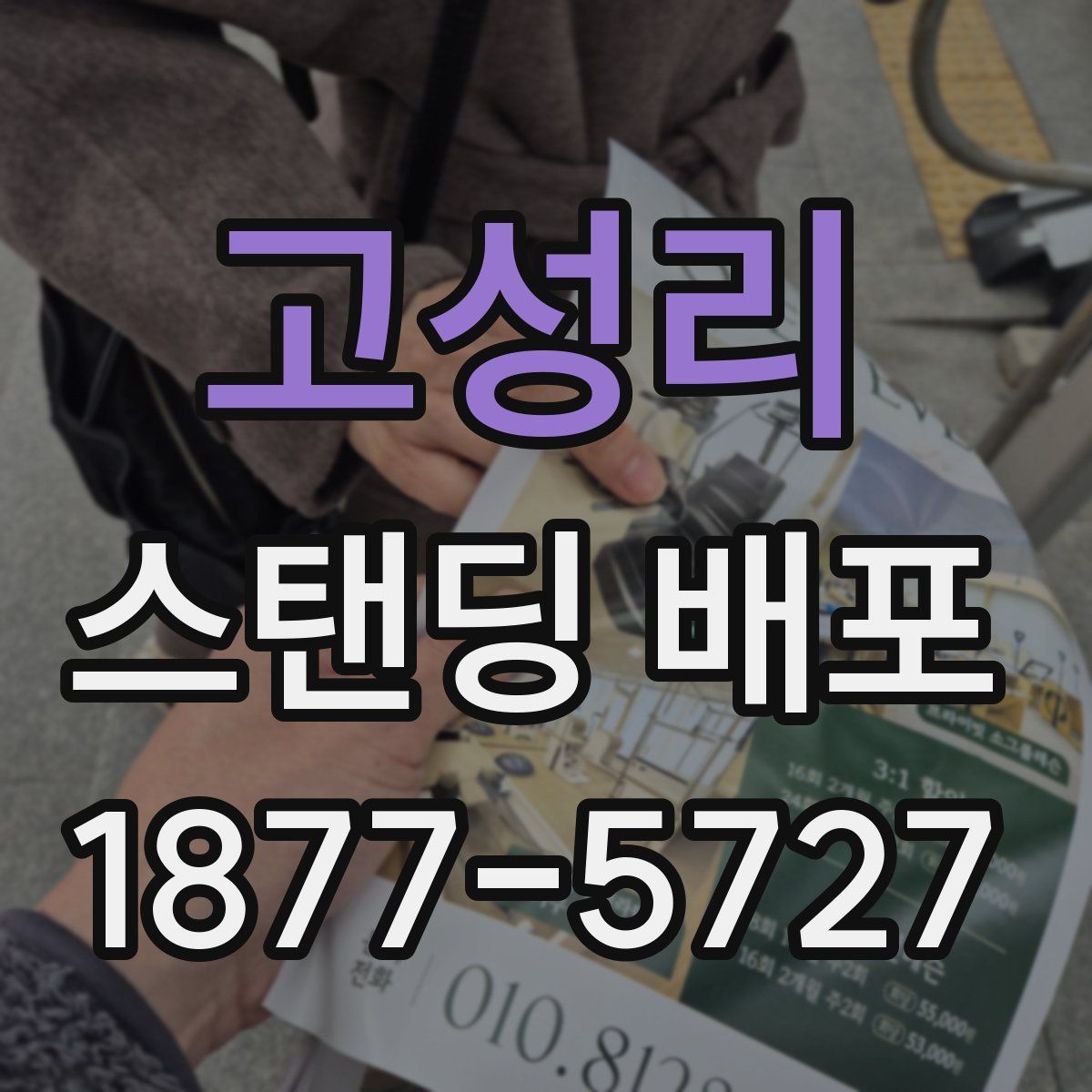 고성리 스탠딩 배포