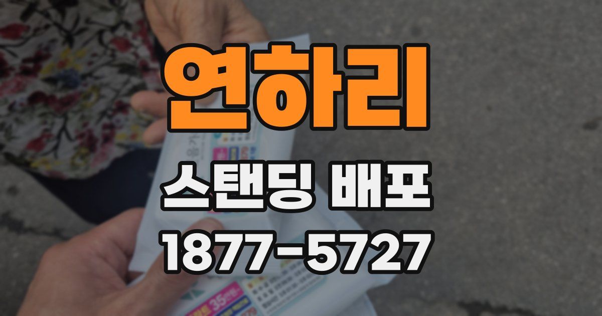 연하리 스탠딩 배포