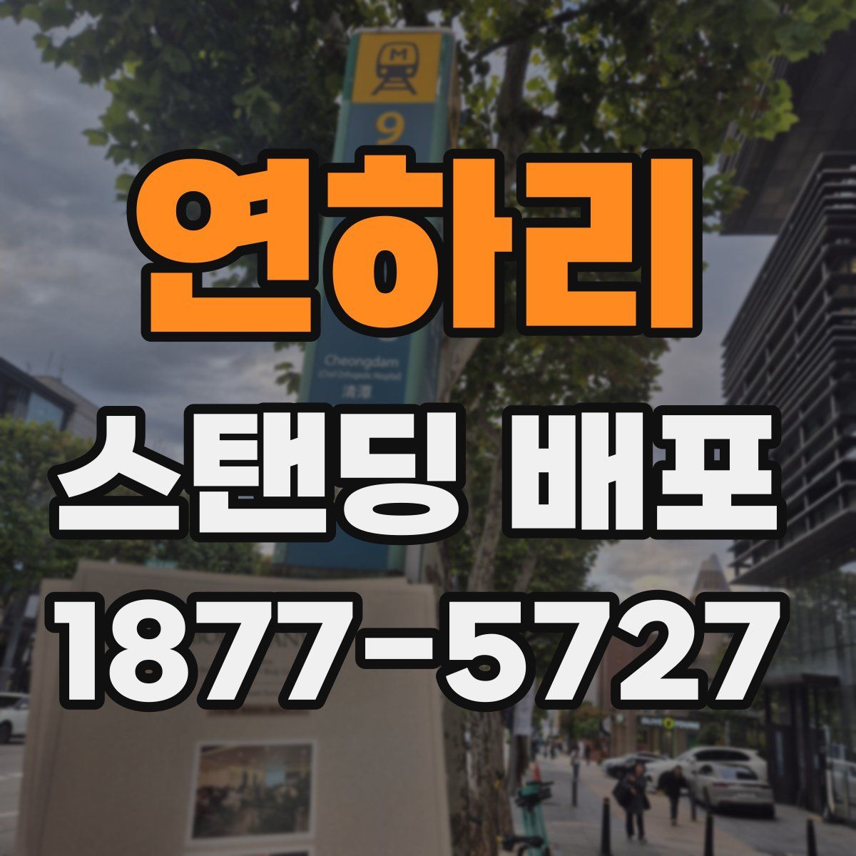 연하리 스탠딩 배포