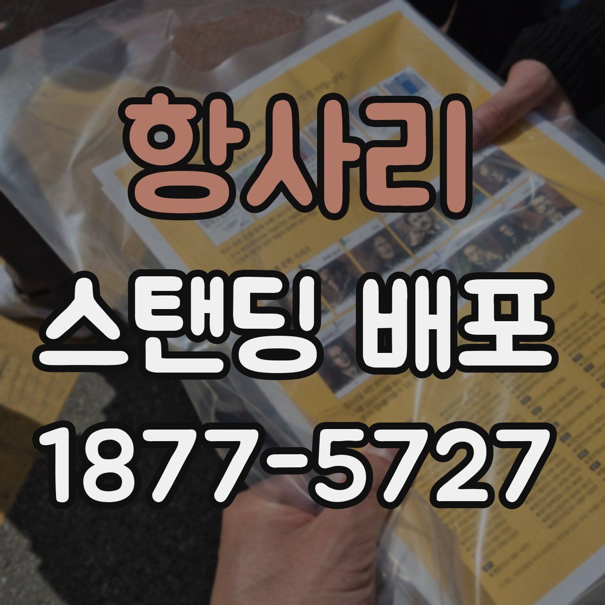 항사리 스탠딩 배포
