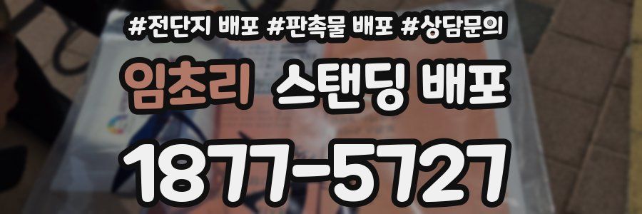 임초리 스탠딩 배포
