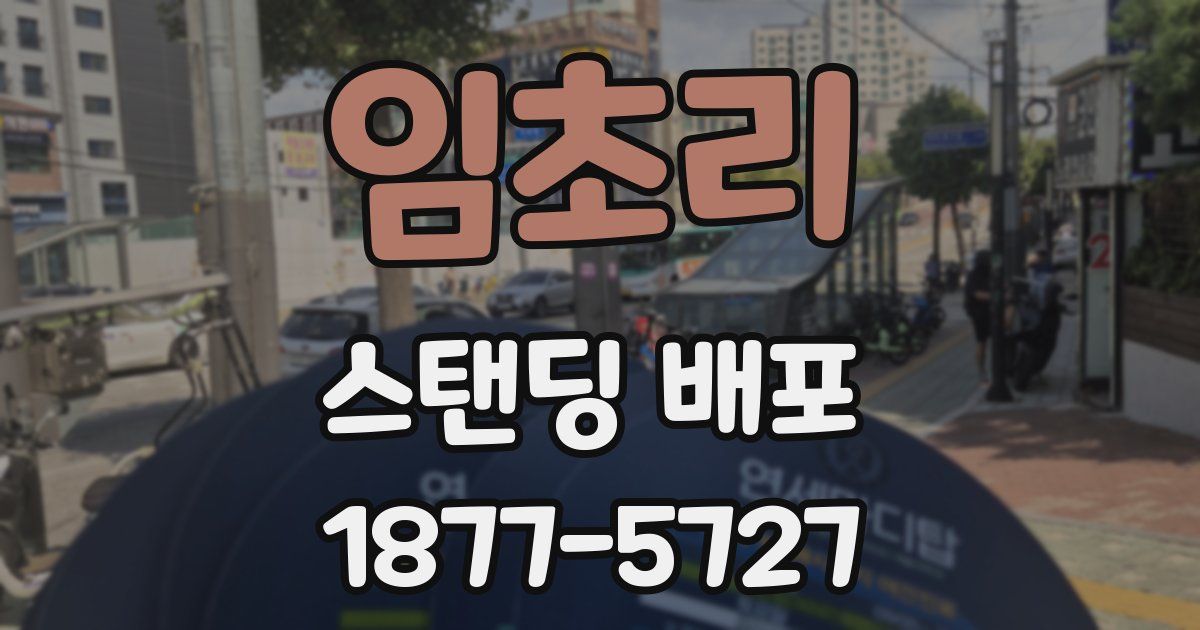 임초리 스탠딩 배포