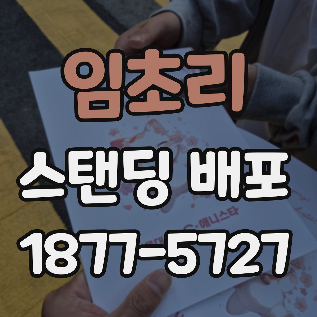 임초리 스탠딩 배포